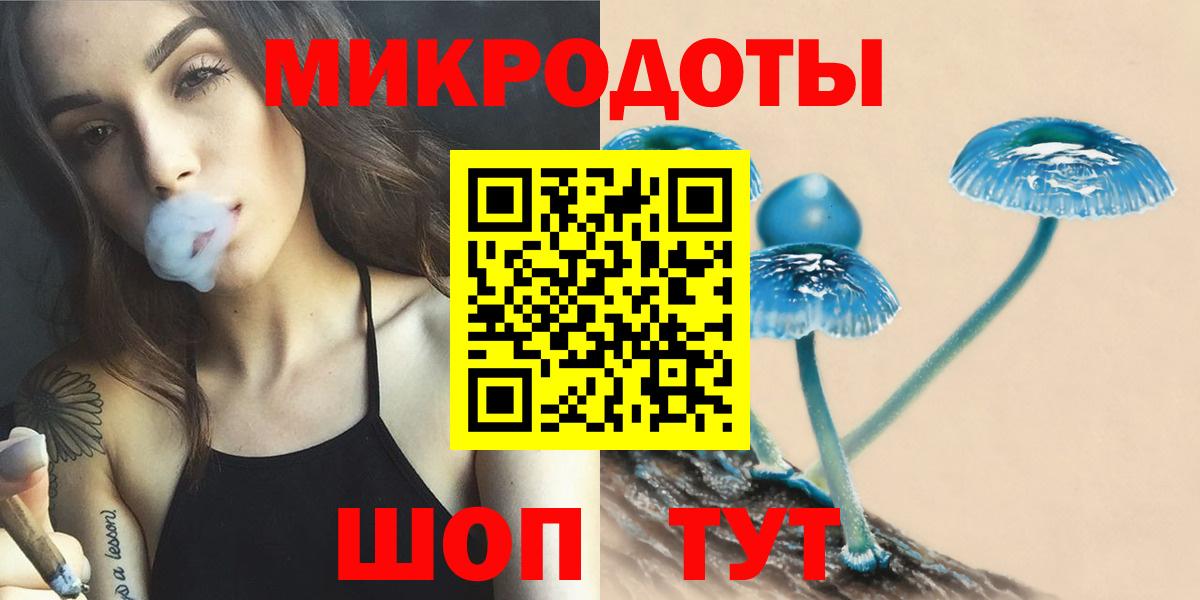 Галлюциногенные грибы Psilocybe Кунгур